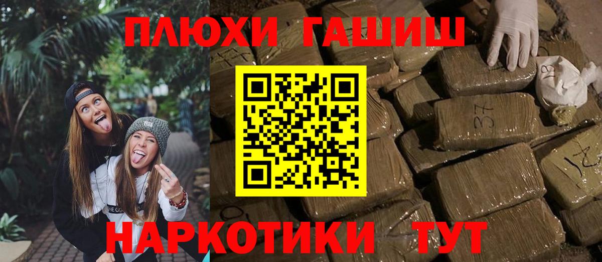 ГАШ Premium Кольчугино