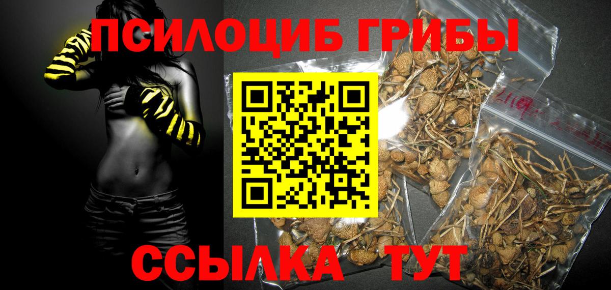 Галлюциногенные грибы Cubensis  Галлюциногенные грибы Psilocybine cubensis  Вход с VPN  Кольчугино 