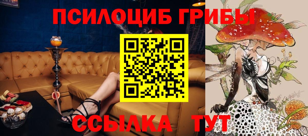 Галлюциногенные грибы Magic Shrooms Кольчугино