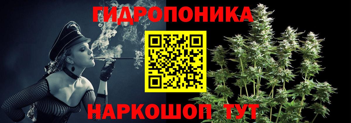 Кольчугино  Бошки Шишки индика  Вход с VPN  МАРИХУАНА OG Kush  Марихуана планчик 